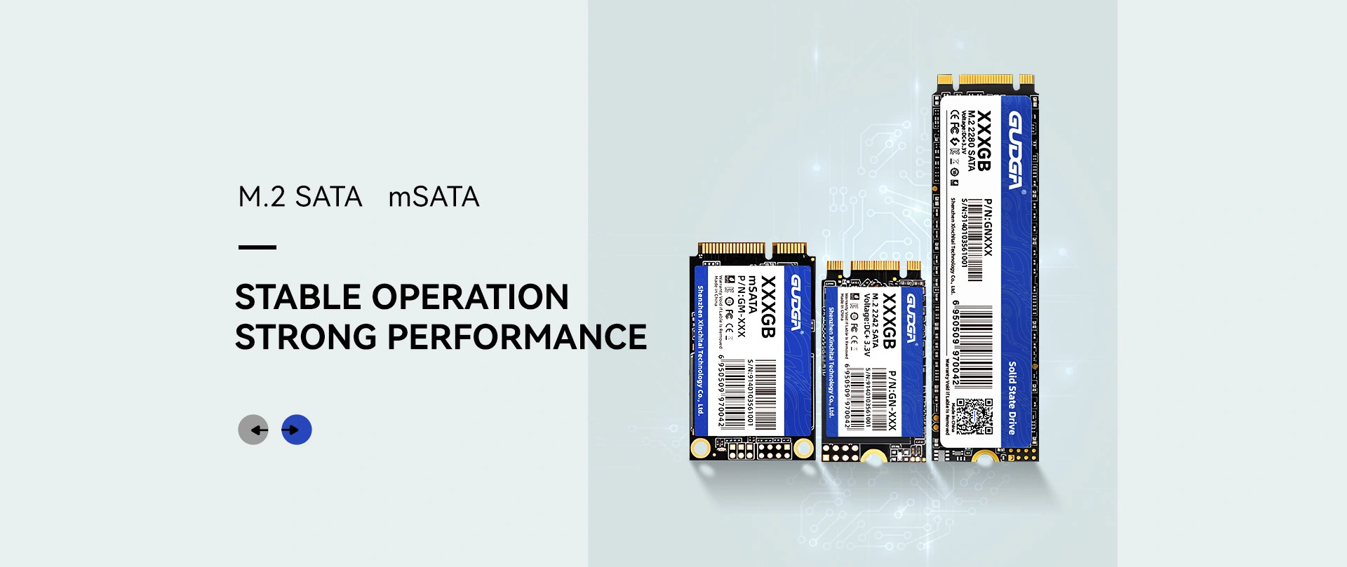 Produttore cinese di SSD SATA M.2 scontati