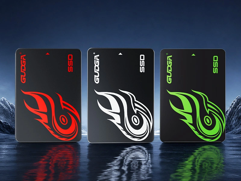 Unità SSD SATA da 2,5